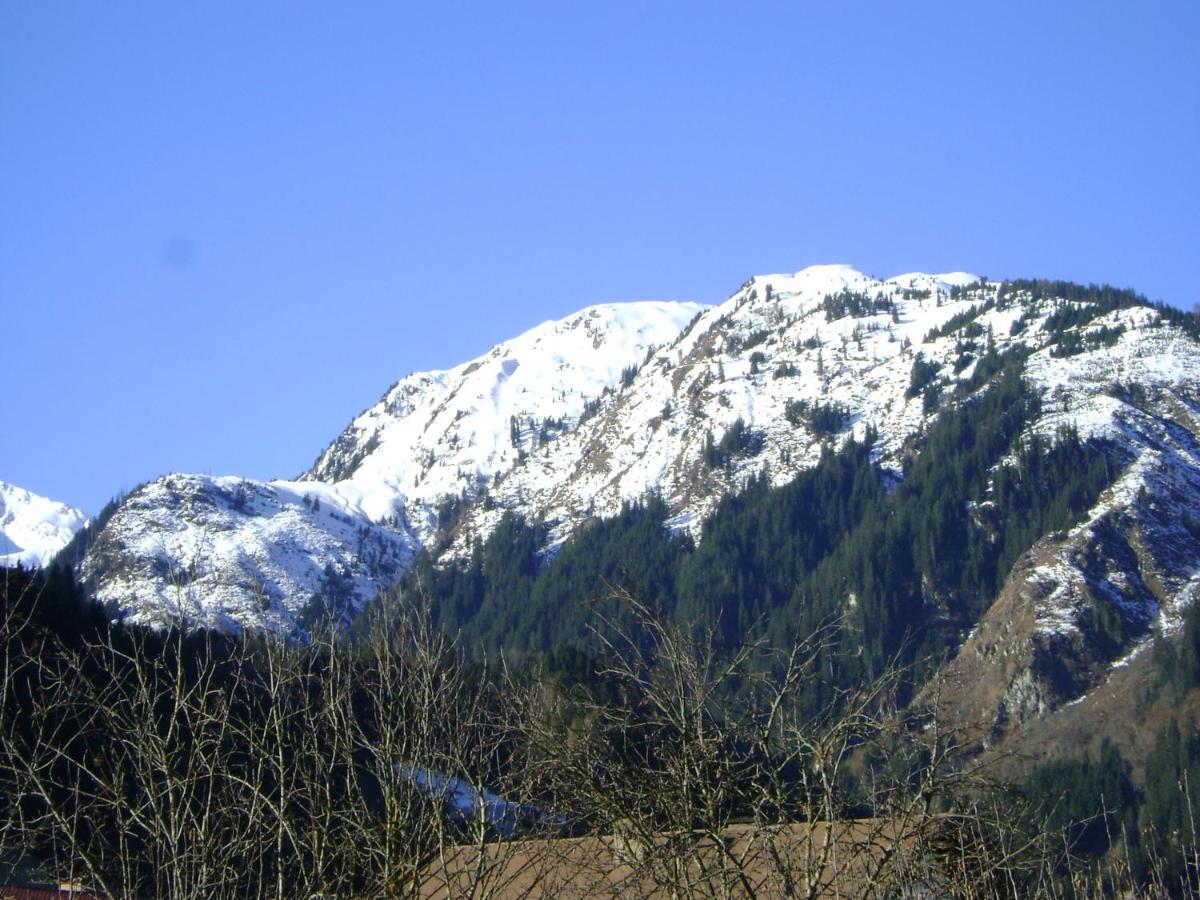 Ferienwohnung Fred Hollersbach im Pinzgau Eksteriør billede